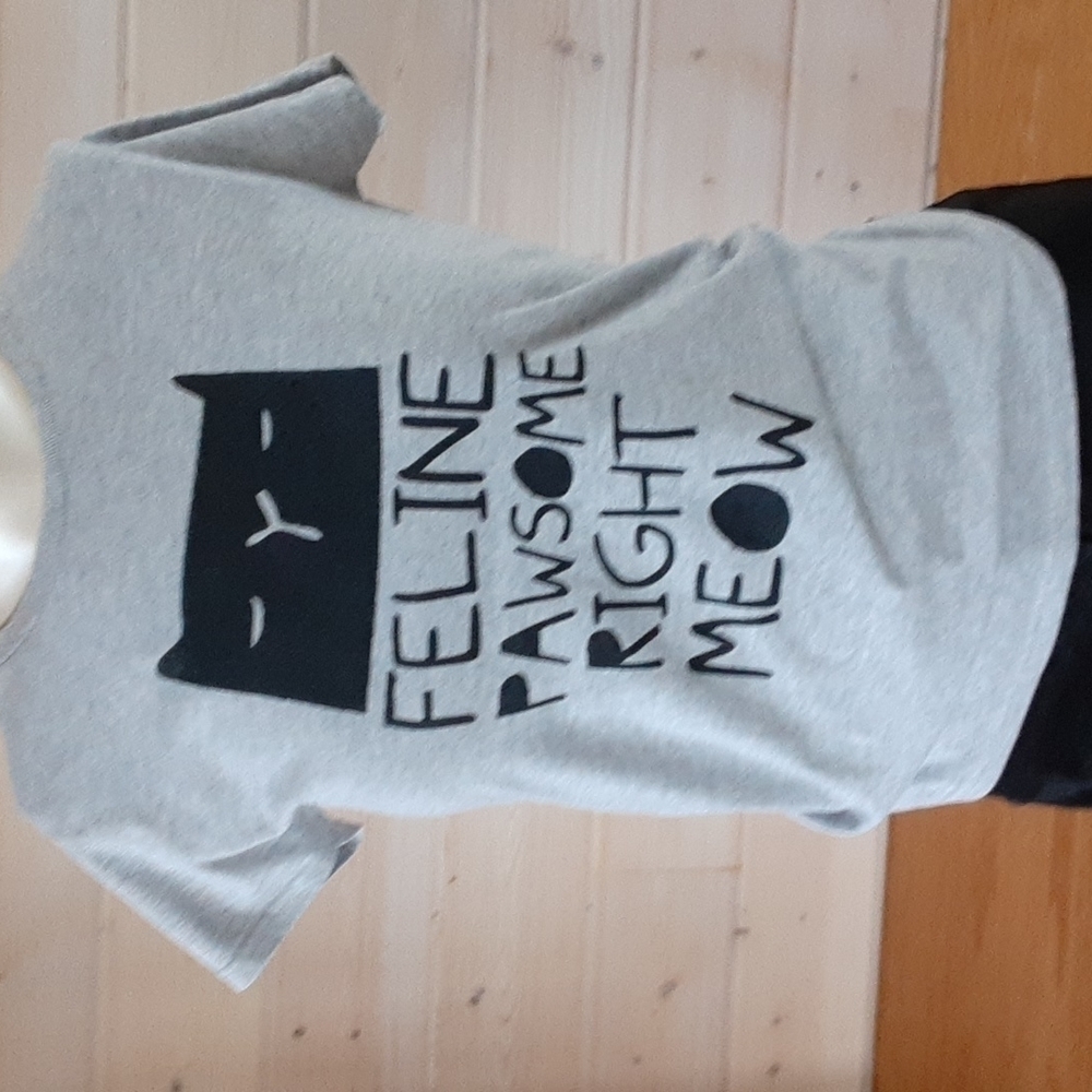 Funny t-shirt. Size small, fitted. Black print on gray.